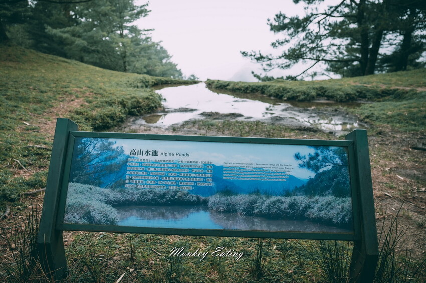 【南投景點】麟趾山-鹿林山-鹿林前山O型縱走，塔塔加健行一日遊，免申請眺望玉山群峰！ - 貪吃猴的幻想