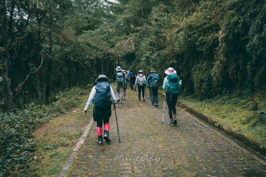 【南投景點】麟趾山-鹿林山-鹿林前山O型縱走，塔塔加健行一日遊，免申請眺望玉山群峰！ - 貪吃猴的幻想