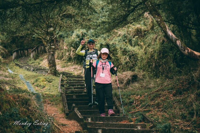 【南投景點】麟趾山-鹿林山-鹿林前山O型縱走，塔塔加健行一日遊，免申請眺望玉山群峰！ - 貪吃猴的幻想