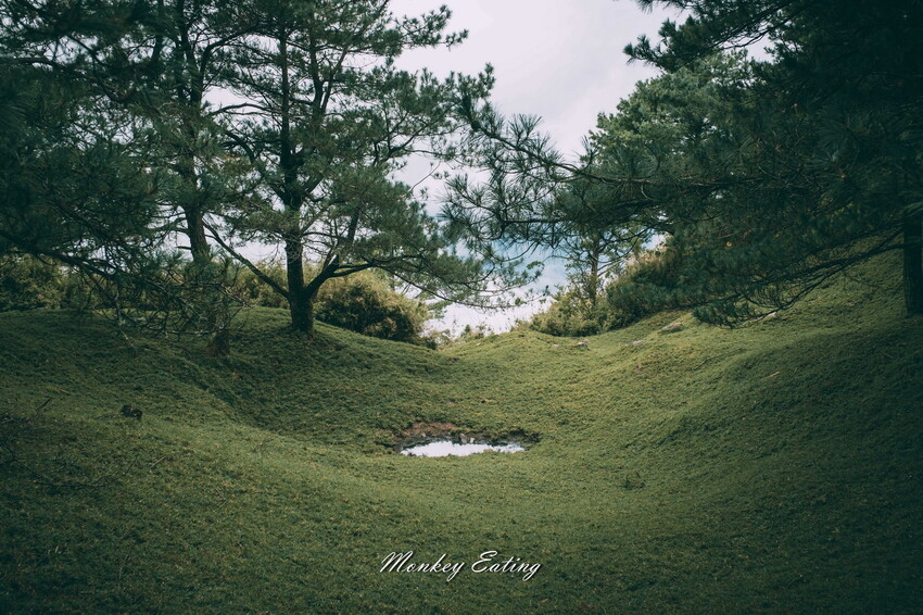 【南投景點】麟趾山-鹿林山-鹿林前山O型縱走，塔塔加健行一日遊，免申請眺望玉山群峰！ - 貪吃猴的幻想