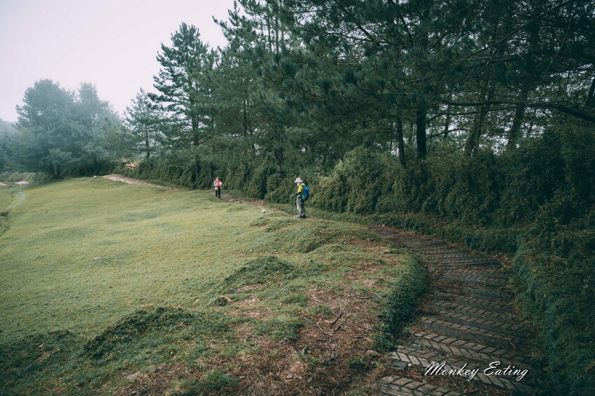 【南投景點】麟趾山-鹿林山-鹿林前山O型縱走，塔塔加健行一日遊，免申請眺望玉山群峰！ - 貪吃猴的幻想