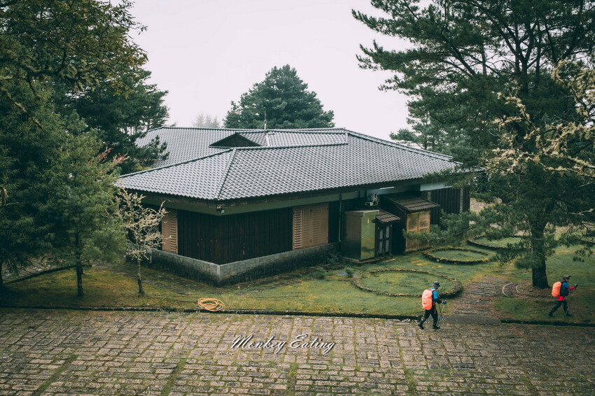 【南投景點】麟趾山-鹿林山-鹿林前山O型縱走，塔塔加健行一日遊，免申請眺望玉山群峰！ - 貪吃猴的幻想