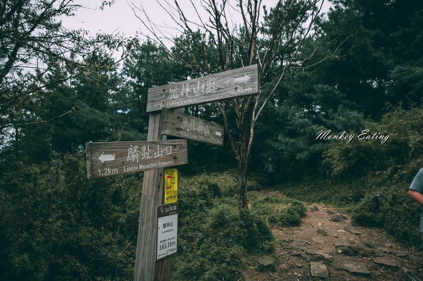 【南投景點】麟趾山-鹿林山-鹿林前山O型縱走，塔塔加健行一日遊，免申請眺望玉山群峰！ - 貪吃猴的幻想