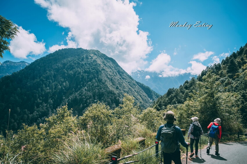 【南投景點】麟趾山-鹿林山-鹿林前山O型縱走，塔塔加健行一日遊，免申請眺望玉山群峰！ - 貪吃猴的幻想