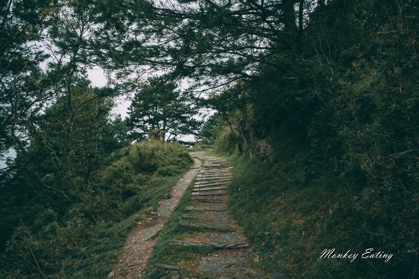 【南投景點】麟趾山-鹿林山-鹿林前山O型縱走，塔塔加健行一日遊，免申請眺望玉山群峰！ - 貪吃猴的幻想