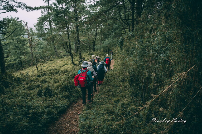 【南投景點】麟趾山-鹿林山-鹿林前山O型縱走，塔塔加健行一日遊，免申請眺望玉山群峰！ - 貪吃猴的幻想