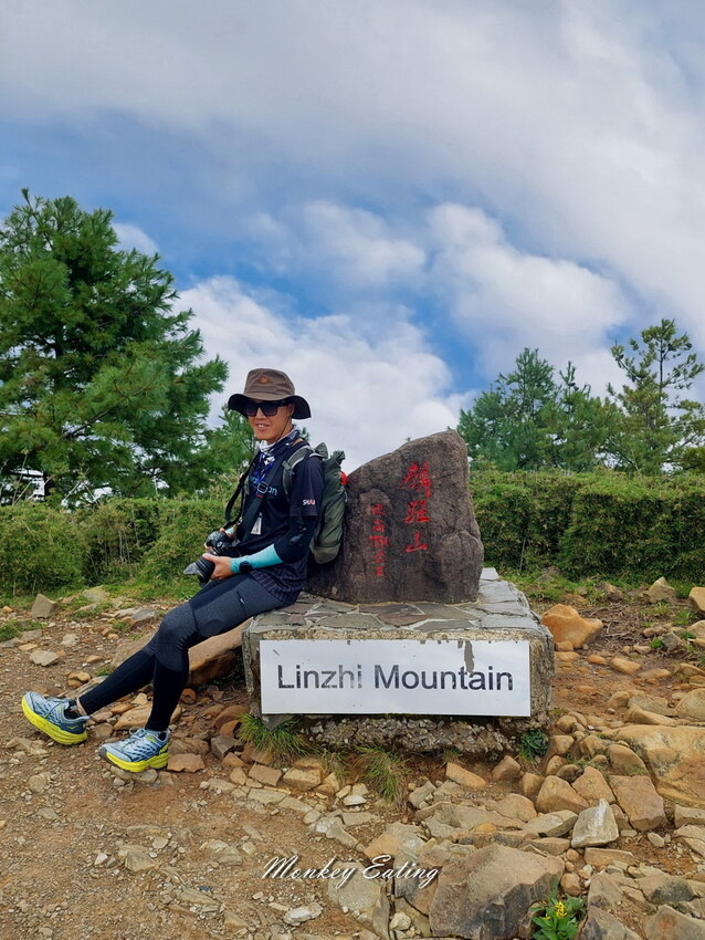 【南投景點】麟趾山-鹿林山-鹿林前山O型縱走，塔塔加健行一日遊，免申請眺望玉山群峰！ - 貪吃猴的幻想