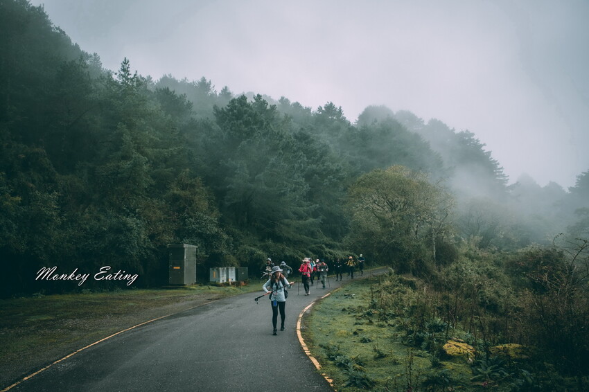 【南投景點】麟趾山-鹿林山-鹿林前山O型縱走，塔塔加健行一日遊，免申請眺望玉山群峰！ - 貪吃猴的幻想