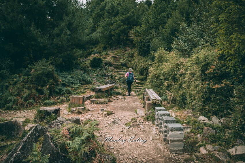 【南投景點】麟趾山-鹿林山-鹿林前山O型縱走，塔塔加健行一日遊，免申請眺望玉山群峰！ - 貪吃猴的幻想