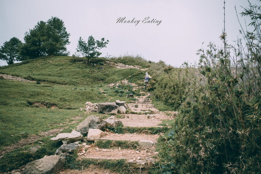 【南投景點】麟趾山-鹿林山-鹿林前山O型縱走，塔塔加健行一日遊，免申請眺望玉山群峰！ - 貪吃猴的幻想