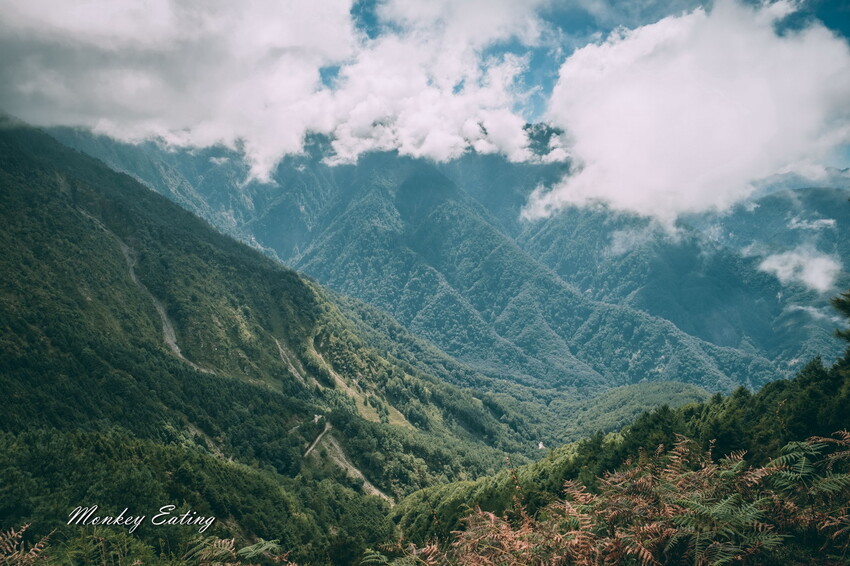 【南投景點】麟趾山-鹿林山-鹿林前山O型縱走，塔塔加健行一日遊，免申請眺望玉山群峰！ - 貪吃猴的幻想
