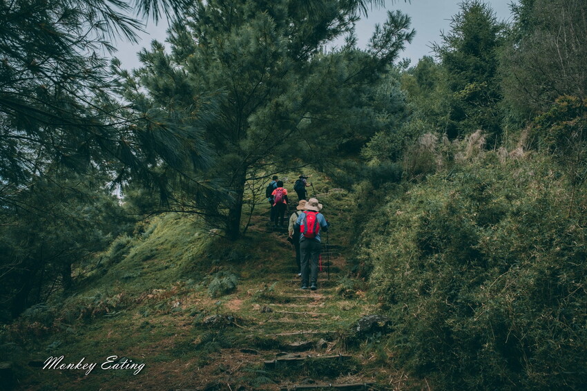 【南投景點】麟趾山-鹿林山-鹿林前山O型縱走，塔塔加健行一日遊，免申請眺望玉山群峰！ - 貪吃猴的幻想