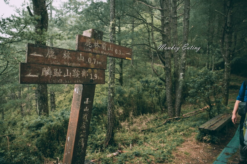 【南投景點】麟趾山-鹿林山-鹿林前山O型縱走，塔塔加健行一日遊，免申請眺望玉山群峰！ - 貪吃猴的幻想
