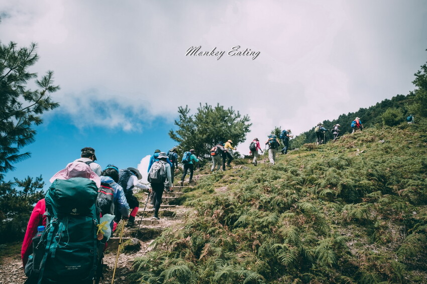 【南投景點】麟趾山-鹿林山-鹿林前山O型縱走，塔塔加健行一日遊，免申請眺望玉山群峰！ - 貪吃猴的幻想