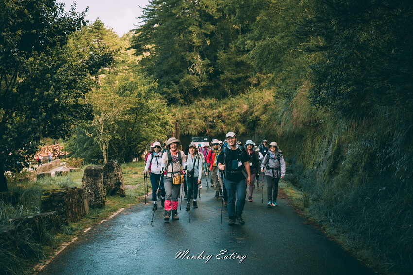 【南投景點】麟趾山-鹿林山-鹿林前山O型縱走，塔塔加健行一日遊，免申請眺望玉山群峰！ - 貪吃猴的幻想