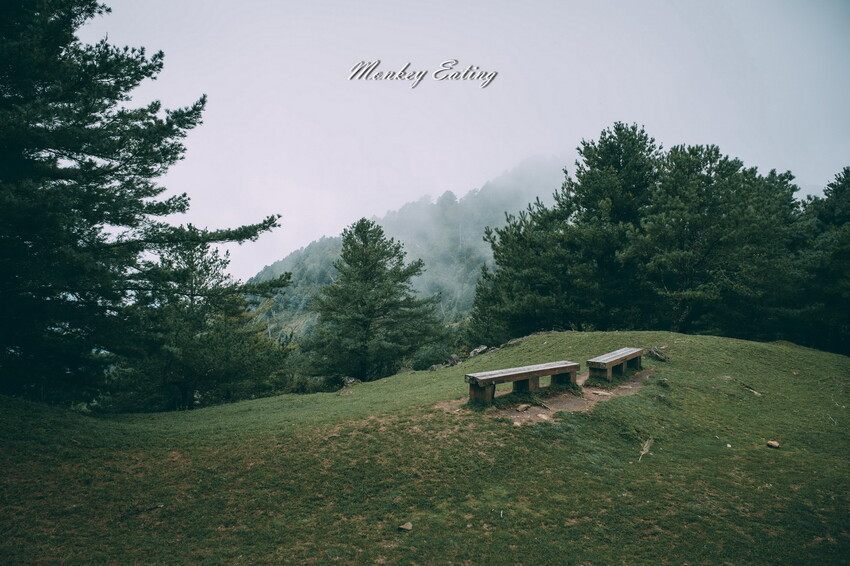 【南投景點】麟趾山-鹿林山-鹿林前山O型縱走，塔塔加健行一日遊，免申請眺望玉山群峰！ - 貪吃猴的幻想