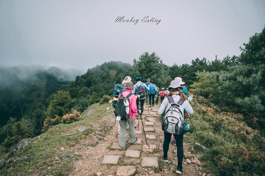 【南投景點】麟趾山-鹿林山-鹿林前山O型縱走，塔塔加健行一日遊，免申請眺望玉山群峰！ - 貪吃猴的幻想