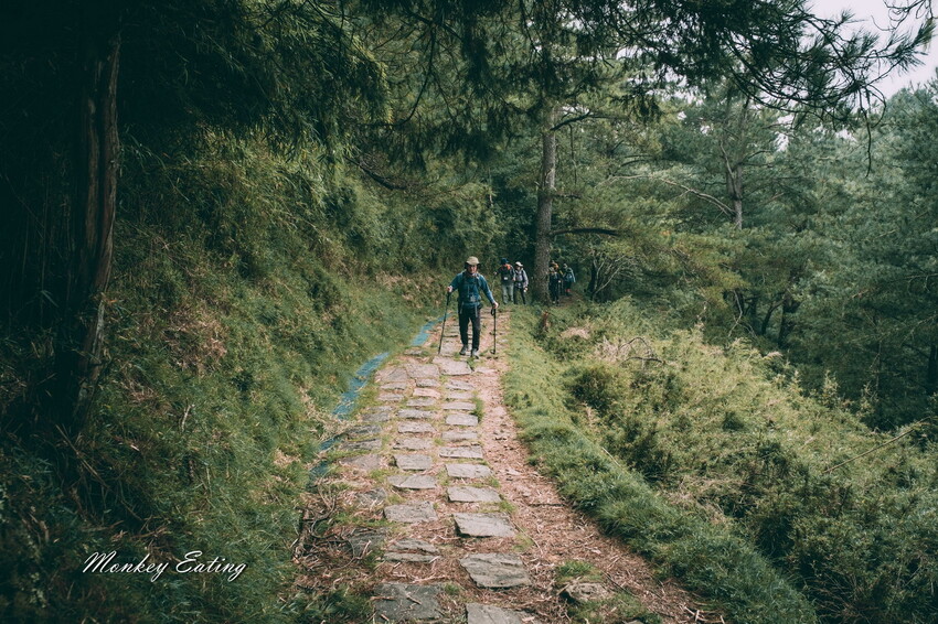 【南投景點】麟趾山-鹿林山-鹿林前山O型縱走，塔塔加健行一日遊，免申請眺望玉山群峰！ - 貪吃猴的幻想