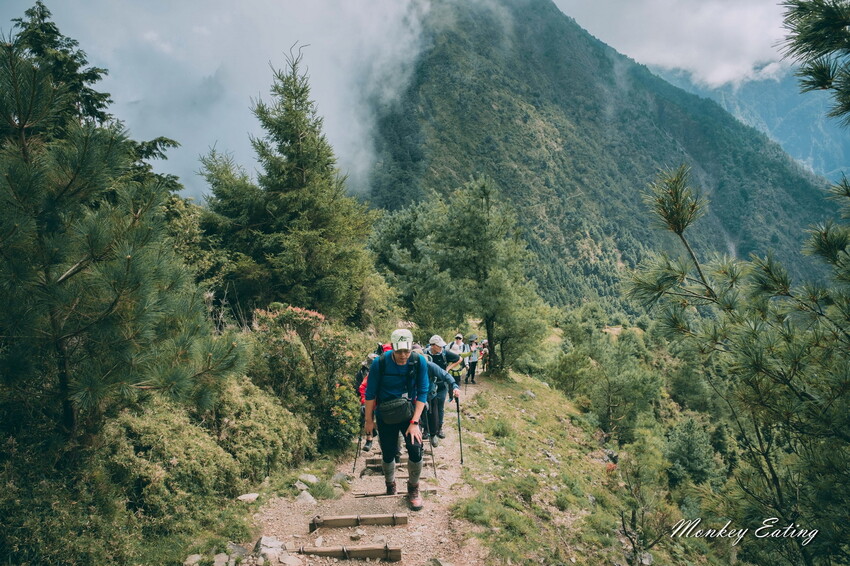 【南投景點】麟趾山-鹿林山-鹿林前山O型縱走，塔塔加健行一日遊，免申請眺望玉山群峰！ - 貪吃猴的幻想