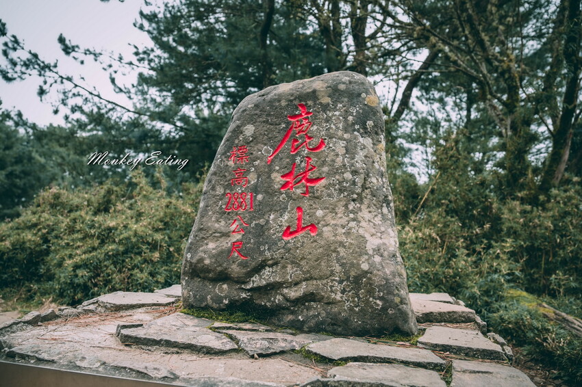 【南投景點】麟趾山-鹿林山-鹿林前山O型縱走，塔塔加健行一日遊，免申請眺望玉山群峰！ - 貪吃猴的幻想