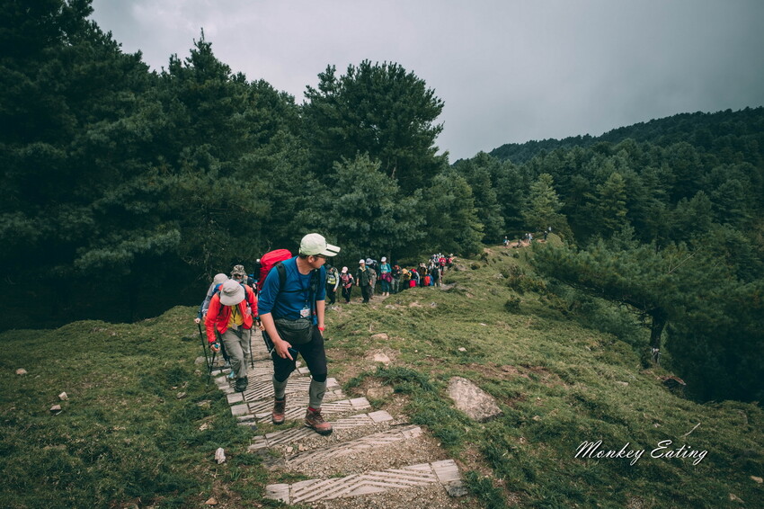 【南投景點】麟趾山-鹿林山-鹿林前山O型縱走，塔塔加健行一日遊，免申請眺望玉山群峰！ - 貪吃猴的幻想