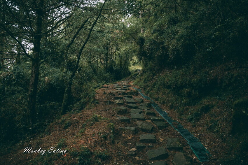 【南投景點】麟趾山-鹿林山-鹿林前山O型縱走，塔塔加健行一日遊，免申請眺望玉山群峰！ - 貪吃猴的幻想