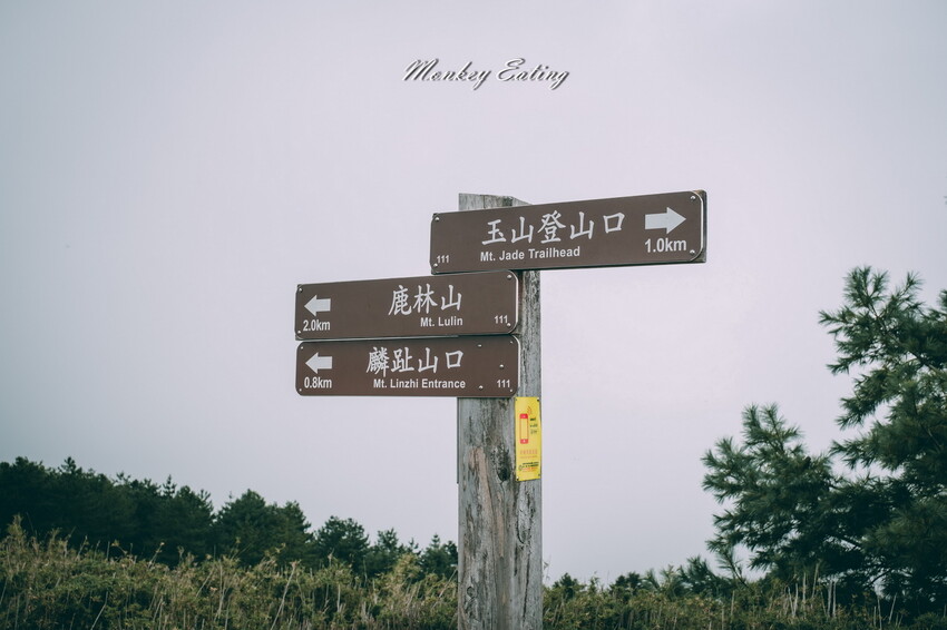 【南投景點】麟趾山-鹿林山-鹿林前山O型縱走，塔塔加健行一日遊，免申請眺望玉山群峰！ - 貪吃猴的幻想