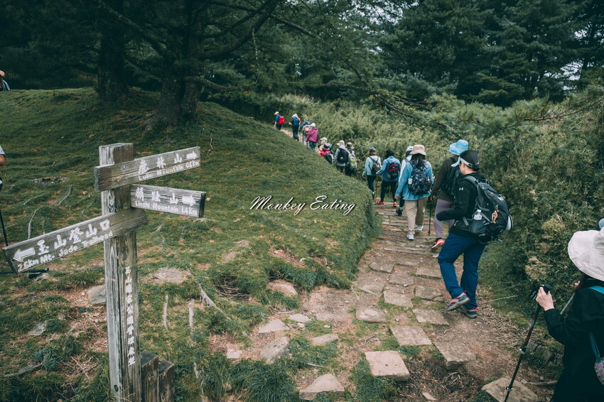 【南投景點】麟趾山-鹿林山-鹿林前山O型縱走，塔塔加健行一日遊，免申請眺望玉山群峰！ - 貪吃猴的幻想