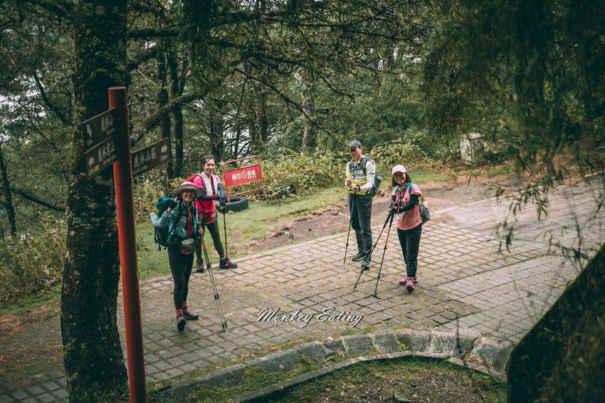 【南投景點】麟趾山-鹿林山-鹿林前山O型縱走，塔塔加健行一日遊，免申請眺望玉山群峰！ - 貪吃猴的幻想
