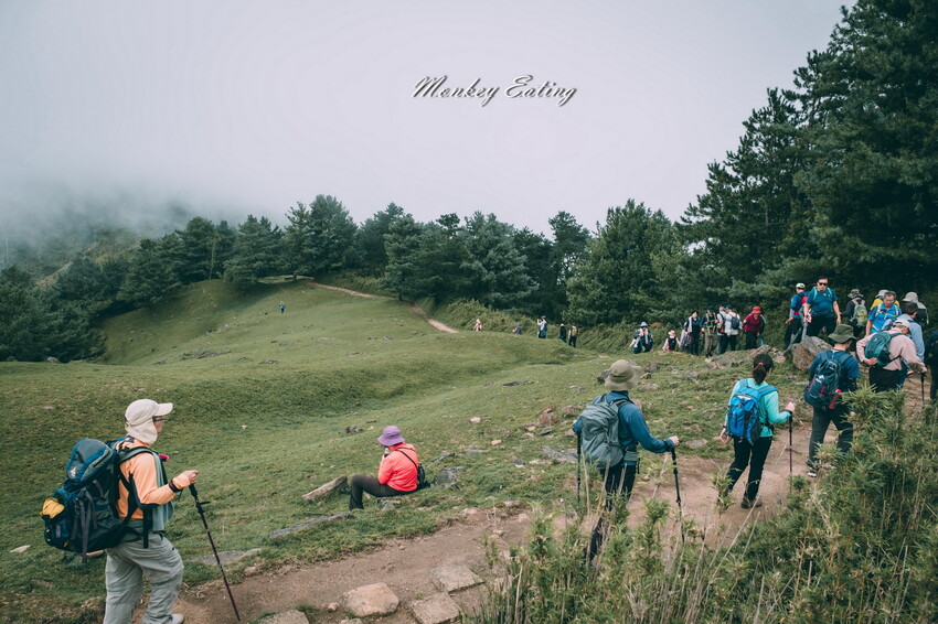 【南投景點】麟趾山-鹿林山-鹿林前山O型縱走，塔塔加健行一日遊，免申請眺望玉山群峰！ - 貪吃猴的幻想