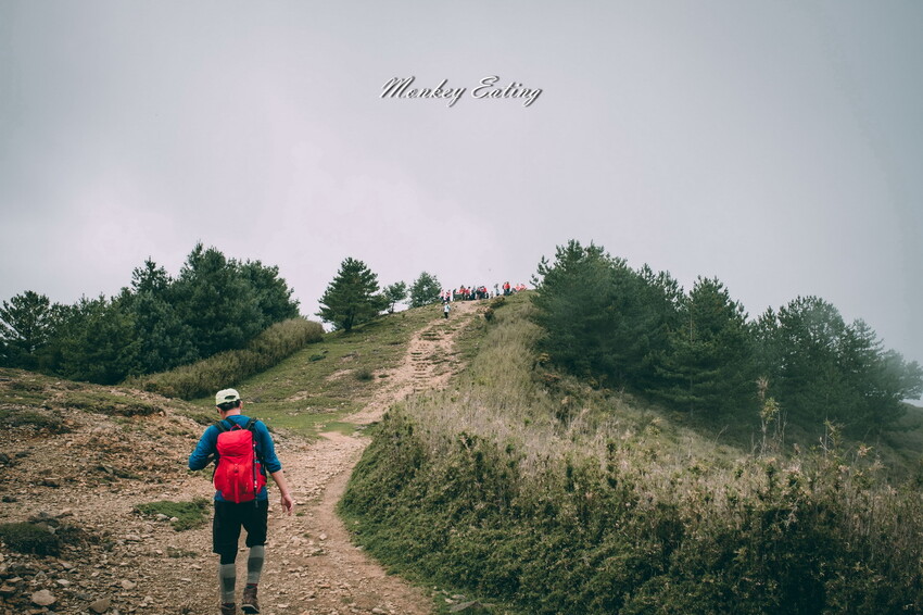 【南投景點】麟趾山-鹿林山-鹿林前山O型縱走，塔塔加健行一日遊，免申請眺望玉山群峰！ - 貪吃猴的幻想