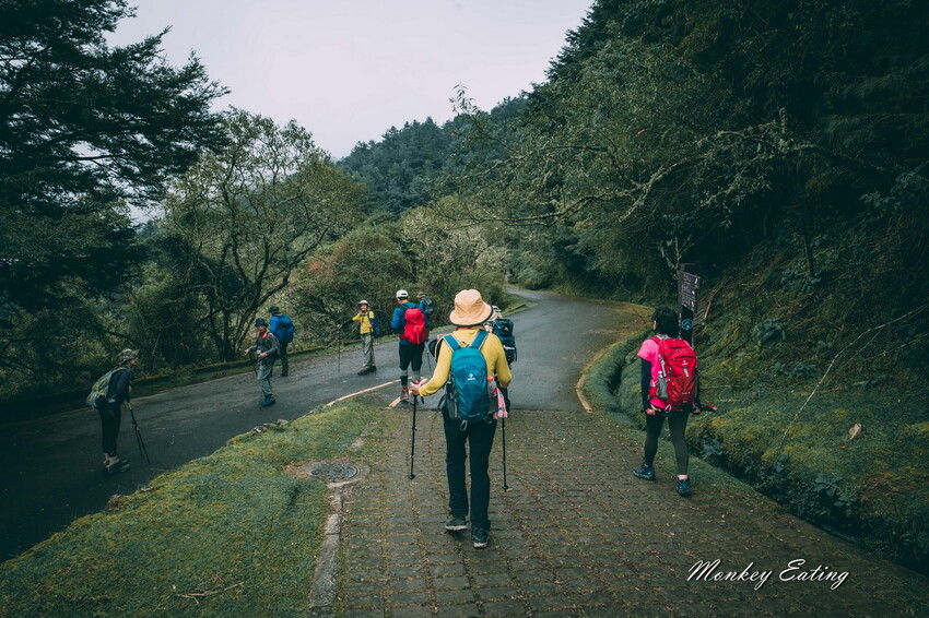 【南投景點】麟趾山-鹿林山-鹿林前山O型縱走，塔塔加健行一日遊，免申請眺望玉山群峰！ - 貪吃猴的幻想