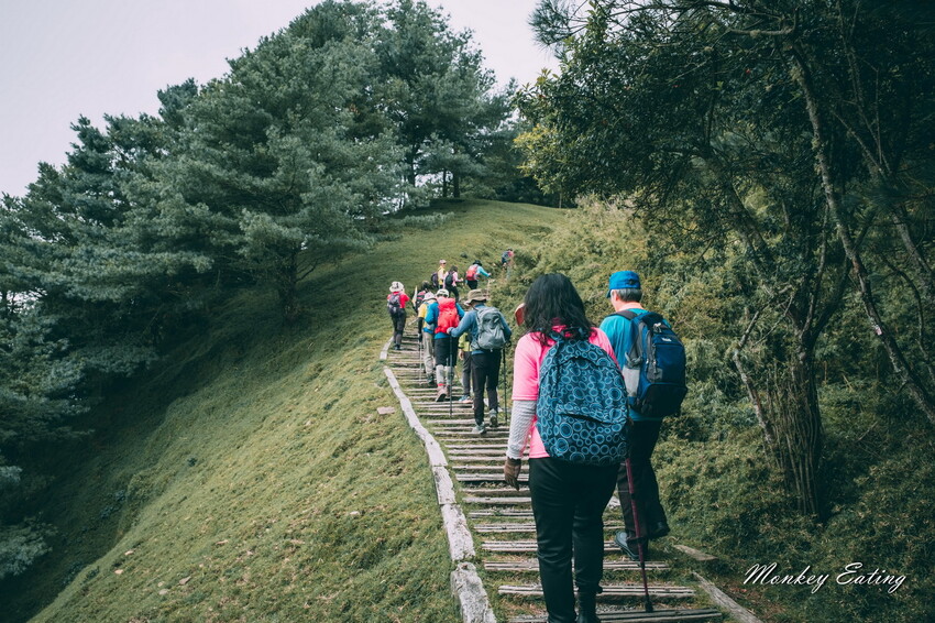 【南投景點】麟趾山-鹿林山-鹿林前山O型縱走，塔塔加健行一日遊，免申請眺望玉山群峰！ - 貪吃猴的幻想