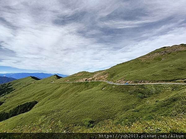 南投景點／合歡山前哨／鳶峰、昆陽、武嶺賞七月高山草花