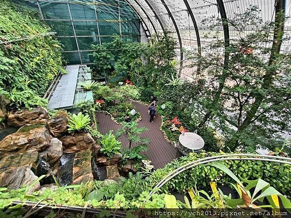 新加坡樟宜機場第三航廈蝴蝶園與藝術作品