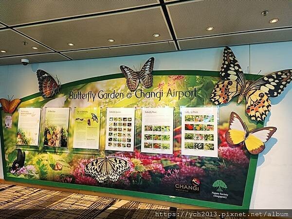 新加坡樟宜機場第三航廈蝴蝶園與藝術作品
