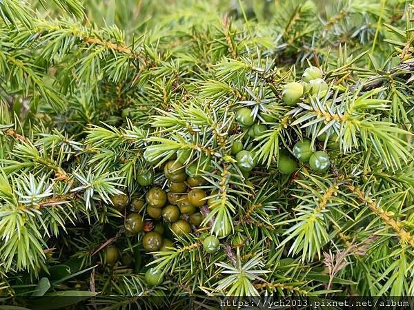 南投景點/輕鬆登頂石門山 南投景點/輕鬆登頂石門山