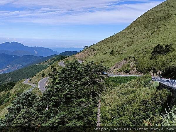南投景點／合歡山前哨／鳶峰、昆陽、武嶺賞七月高山草花