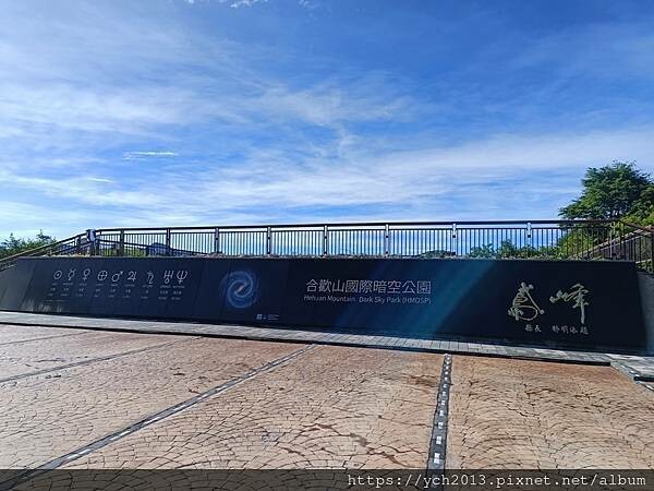 南投景點／合歡山前哨／鳶峰、昆陽、武嶺賞七月高山草花