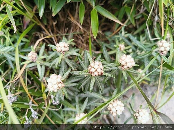 南投景點/輕鬆登頂石門山 南投景點/輕鬆登頂石門山