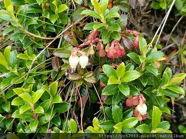 南投景點/輕鬆登頂石門山 南投景點/輕鬆登頂石門山