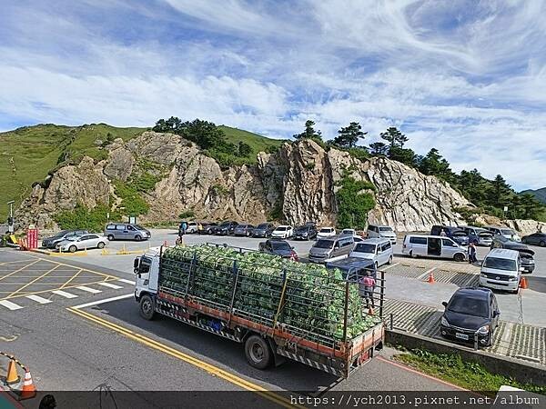 南投景點／合歡山前哨／鳶峰、昆陽、武嶺賞七月高山草花