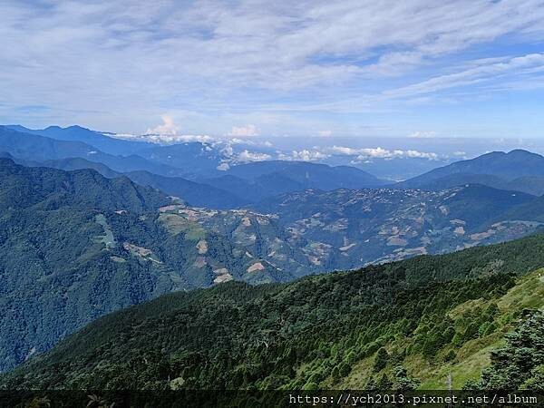 南投景點／合歡山前哨／鳶峰、昆陽、武嶺賞七月高山草花