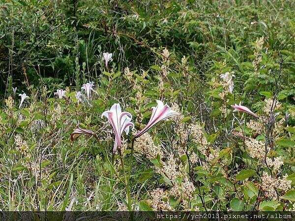 南投景點/輕鬆登頂石門山 南投景點/輕鬆登頂石門山
