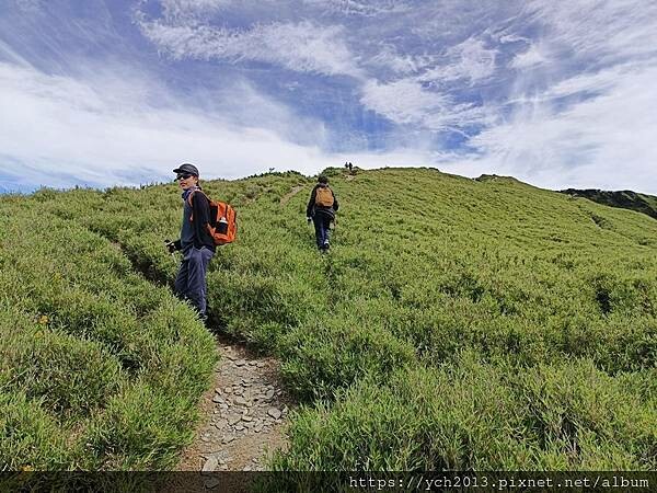 南投景點/合歡主峰初體驗