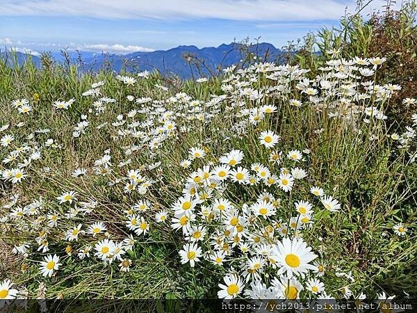 南投景點/合歡主峰初體驗