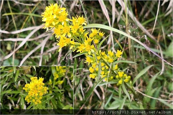 南投景點/輕鬆登頂石門山 南投景點/輕鬆登頂石門山