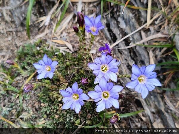 南投景點/輕鬆登頂石門山 南投景點/輕鬆登頂石門山