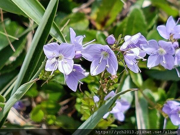 南投景點／合歡主峰初體驗
