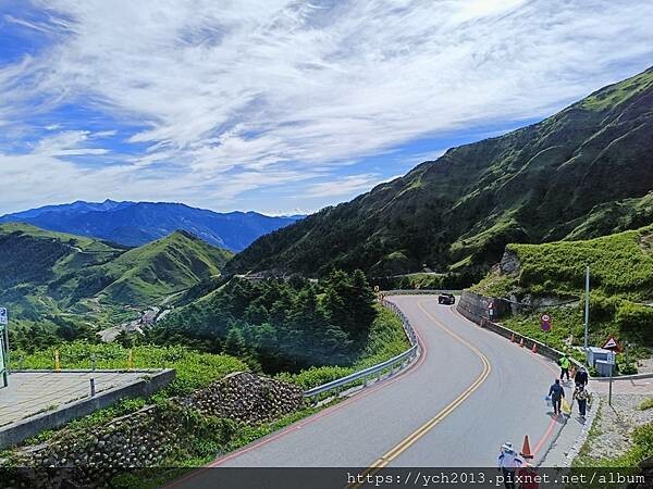 南投景點／合歡山前哨／鳶峰、昆陽、武嶺賞七月高山草花